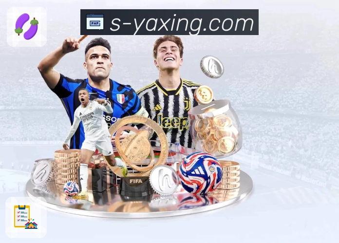 体育直播接口页面结构示意